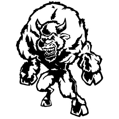 Buffalo
